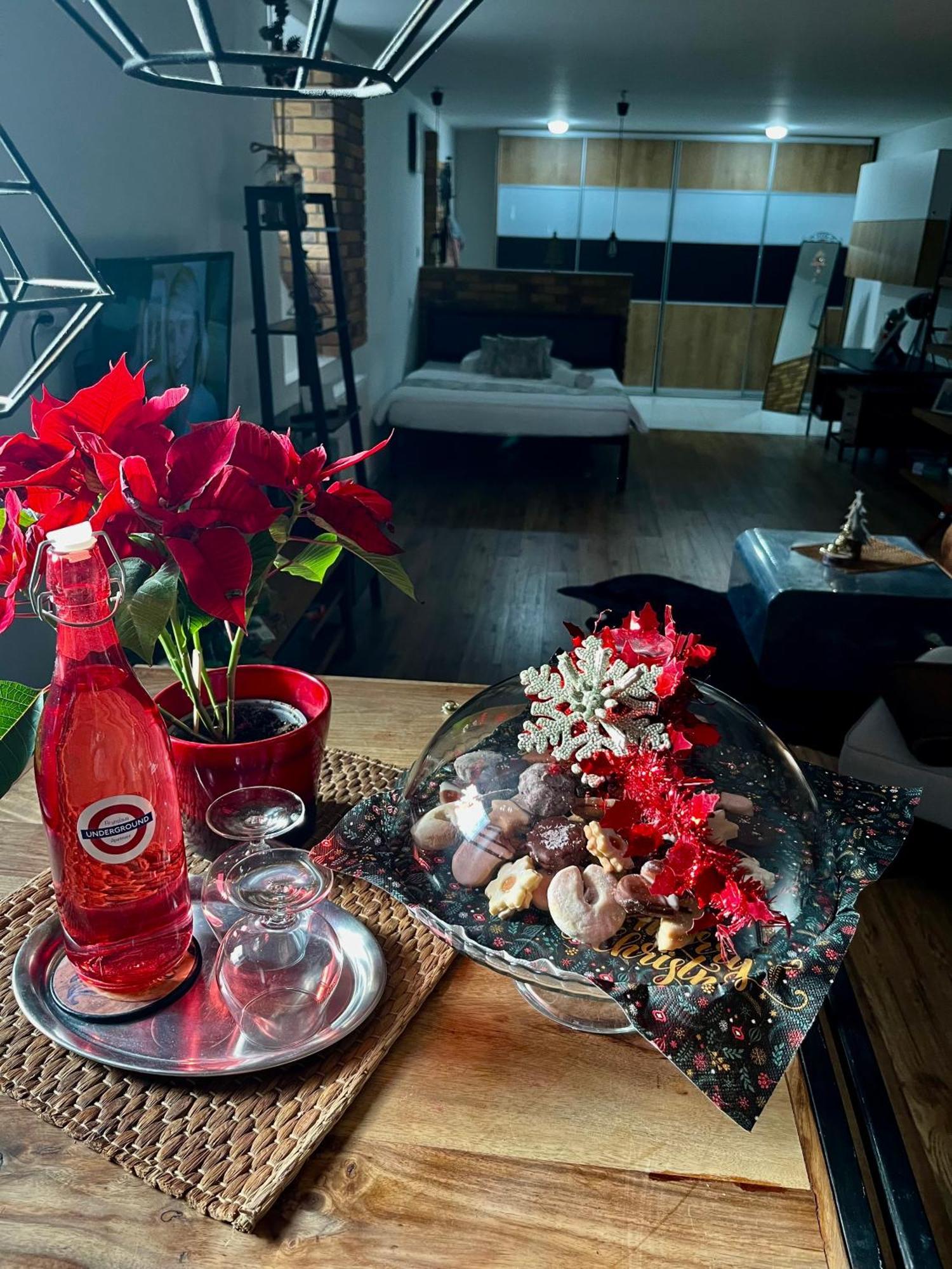 Underground Apartment Bratislava-Nivy Εξωτερικό φωτογραφία